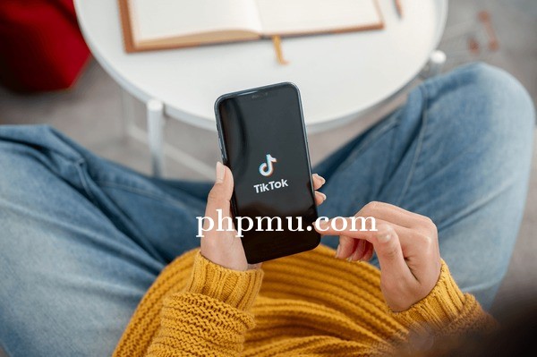8 Situs Pengunduh Video TikTok yang Mudah Diakses Pemula