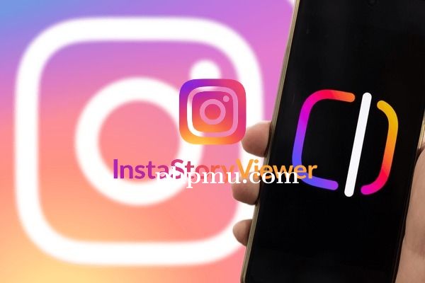 Apa Itu Insta Story Viewer? Alat Online untuk Melihat Story Instagram
